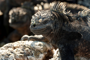 Similar image 8103141