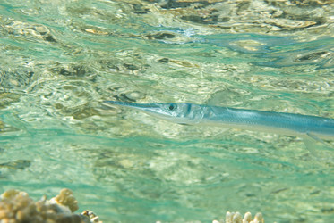 Similar image 8103145