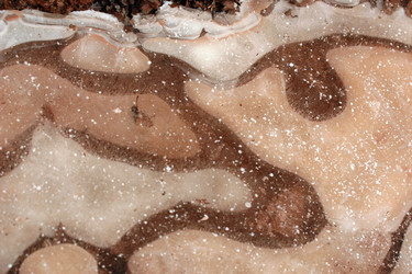 Similar image 8103155