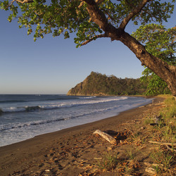 Similar image 8103160