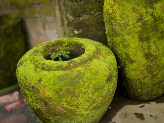 Similar image 8103173