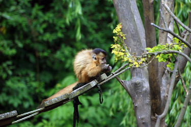 Similar image 8103174