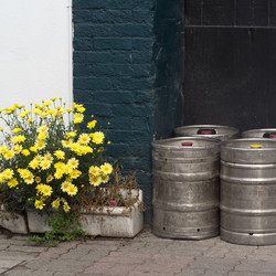 Similar image 8103177