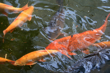 Similar image 8103180