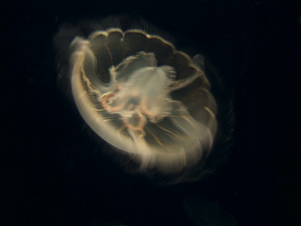 Similar image 8103184