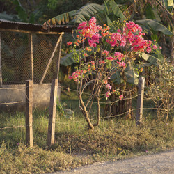 Similar image 8103191