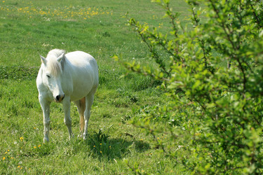 Similar image 8103197