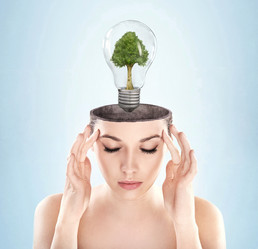 Similar image 8103203