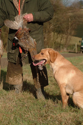 Similar image 8103214