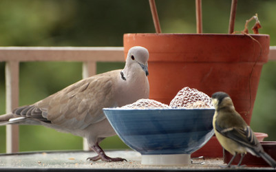 Similar image 8103221