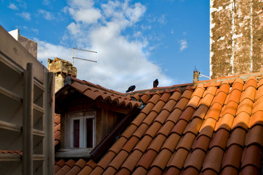 Similar image 8103227