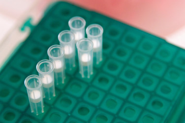 Similar image 8103228