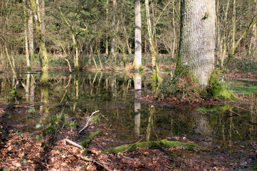 Similar image 8103235