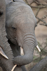 Similar image 8103237