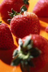 Similar image 8103243