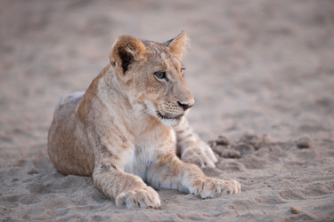 Similar image 8103245