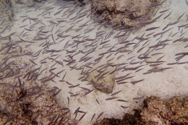 Similar image 8103248