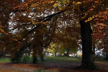 Similar image 8103263