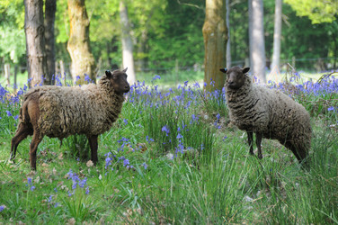 Similar image 8103269