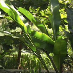 Similar image 8103271