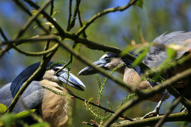 Similar image 8103285