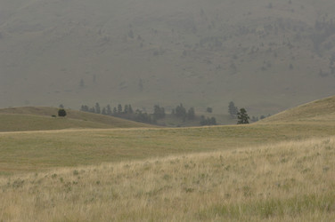 Similar image 8103293