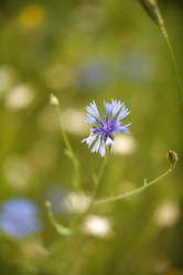 Similar image 8103299