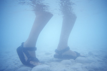 Similar image 8103301