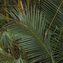 Similar image 8103302