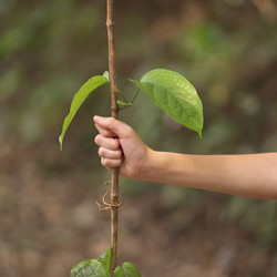 Similar image 8103311