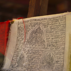 Similar image 8103318