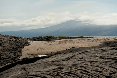 Similar image 8103319