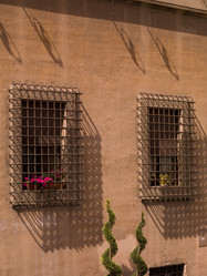 Similar image 8103321