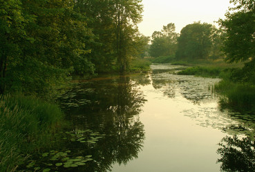 Similar image 8103323