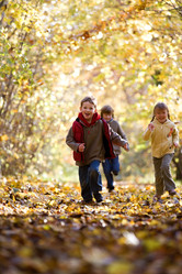 Similar image 8103332