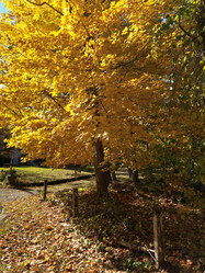 Similar image 8103335