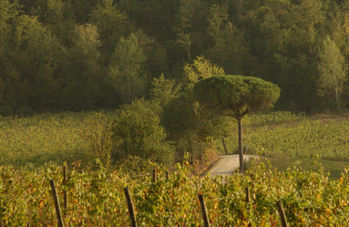 Similar image 8103337