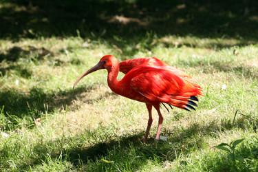 Similar image 8103341