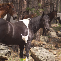 Similar image 8103346