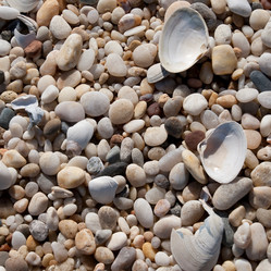 Similar image 8103358