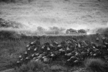 Similar image 8103360