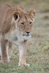 Similar image 8103361