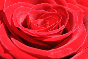 Similar image 8103371