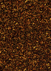 Similar image 8103375