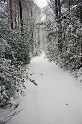 Similar image 8103377