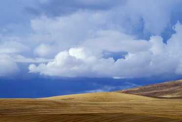 Similar image 8103384