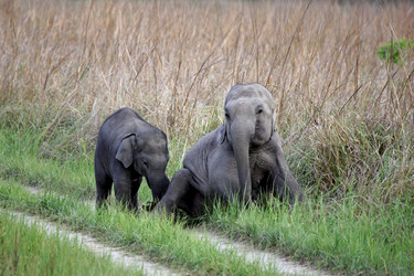 Similar image 8103388