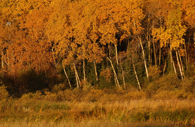 Similar image 8103393