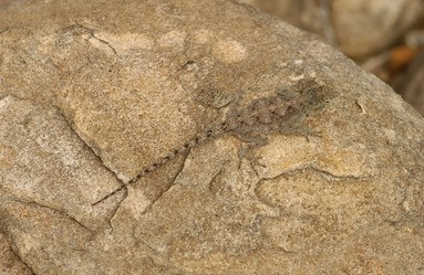 Similar image 8103394