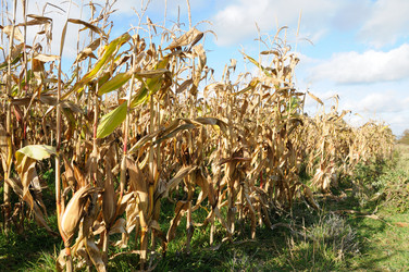 Similar image 8103404